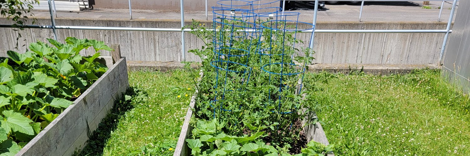 SF Cafeteria Rocks banner