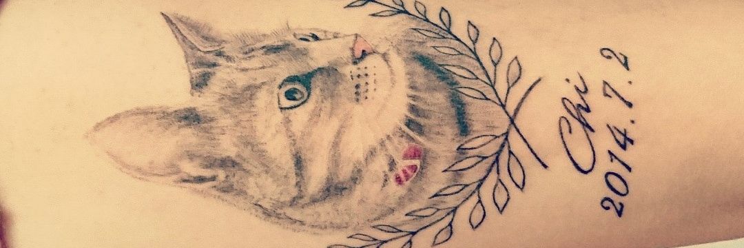 aynxchn's profile banner image