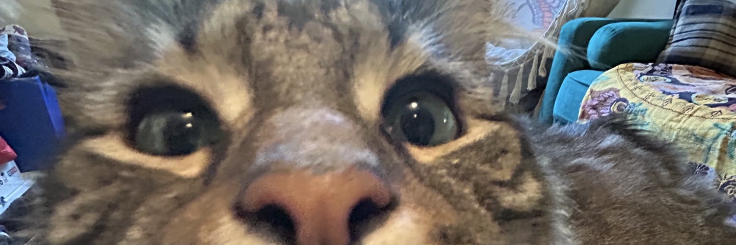 call me zippy im zippin banner