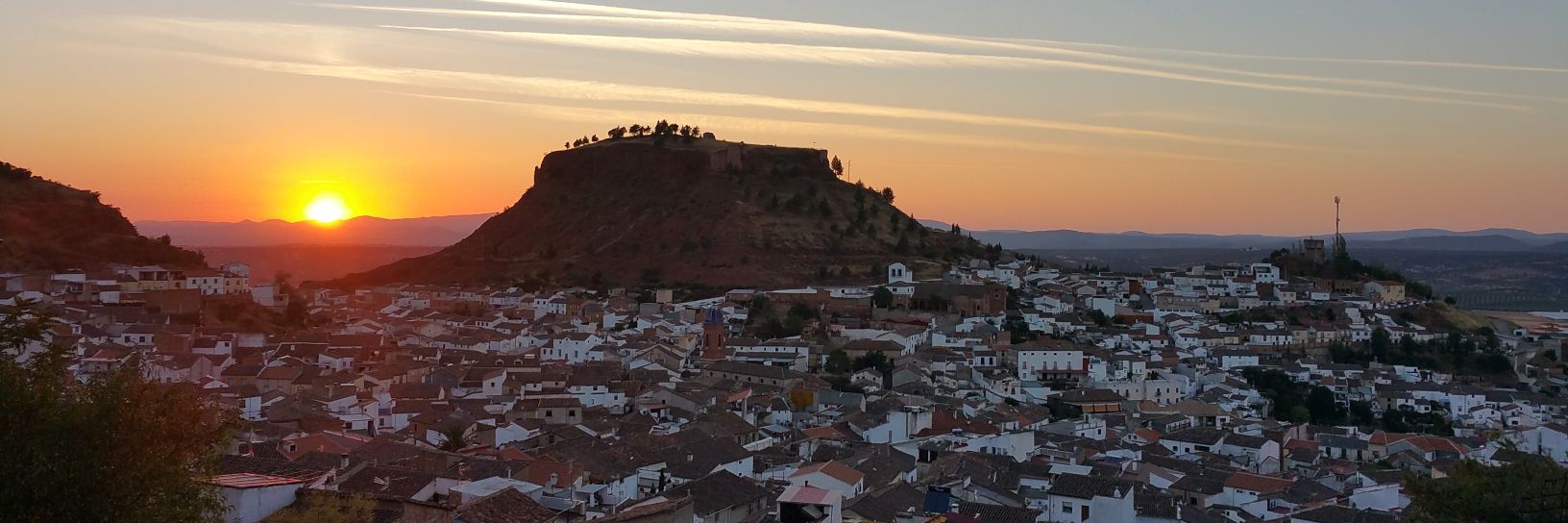 David Ortiz Torres banner