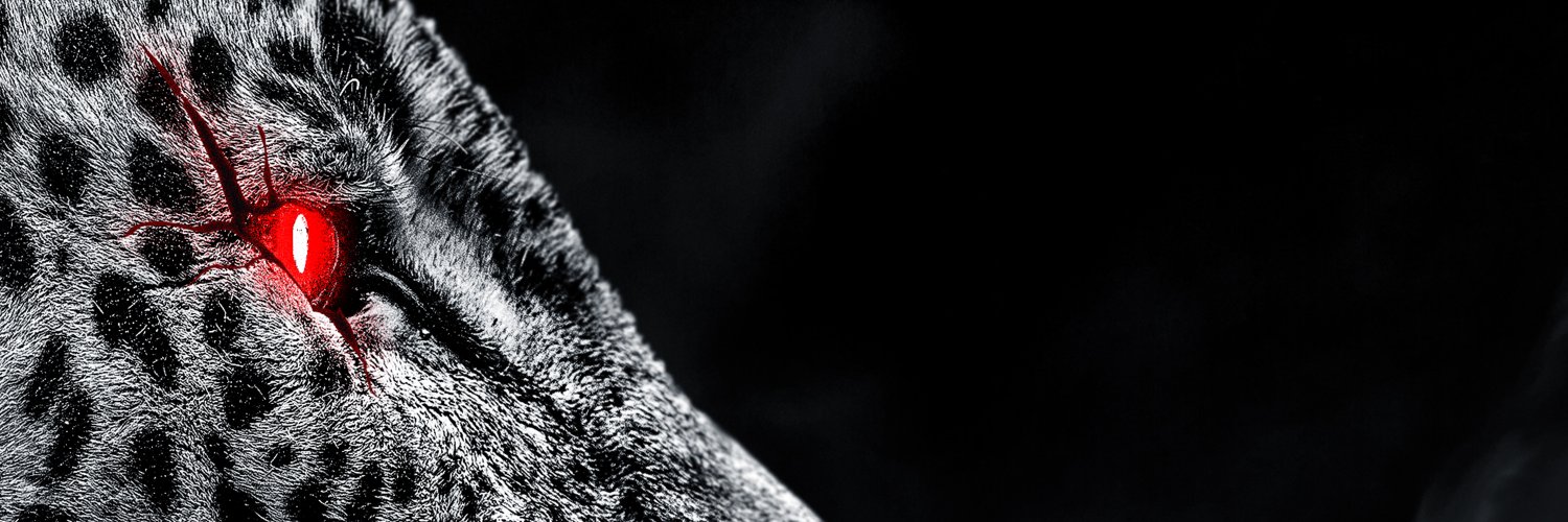 CRASHDÏET OFFICIAL banner