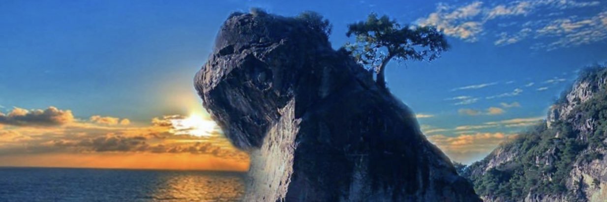 Canaltayy's profile banner image
