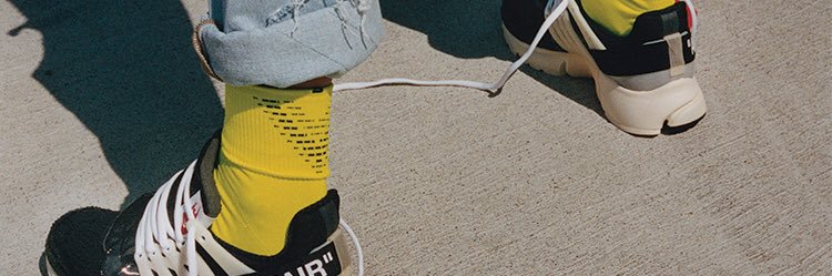 V banner