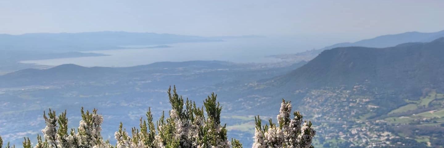 julia2a's profile banner image