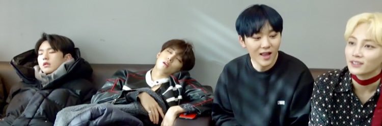 C_o_ll_y's profile banner image