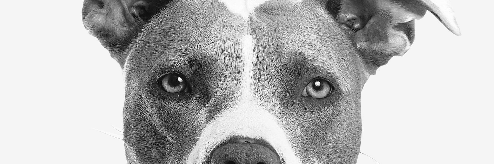 PortCoquitlamAH's profile banner image