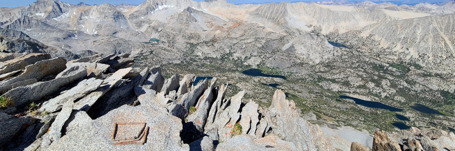 OrchidsM 🦇🔊 banner