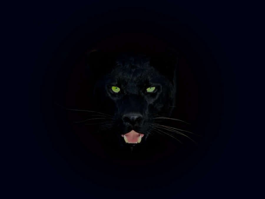 glitchbiotch9's profile banner image