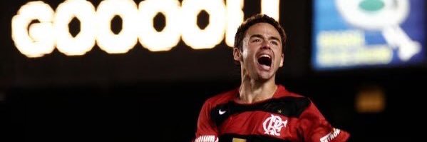 Ruan banner