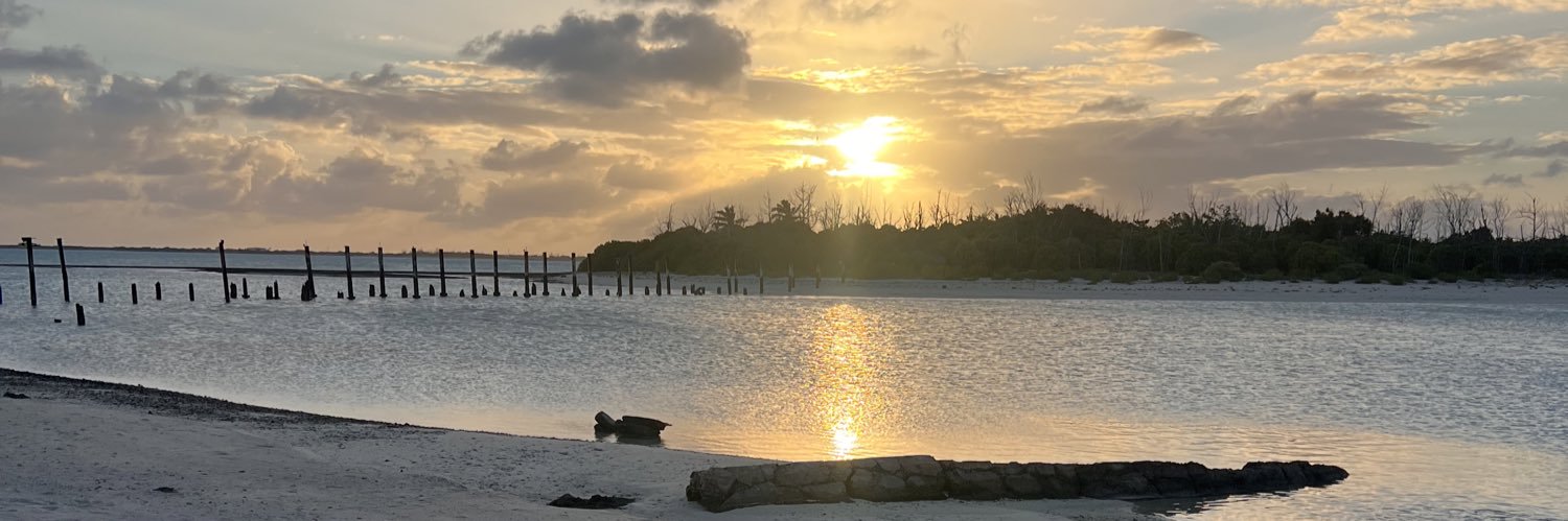 freddieb37's profile banner image