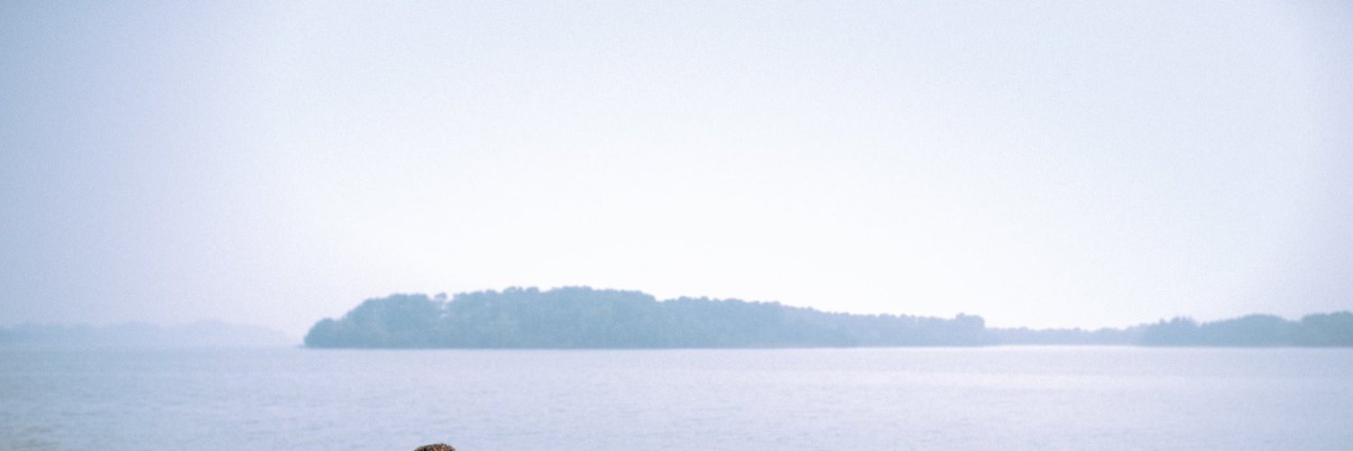 Jessica  Foltram  banner