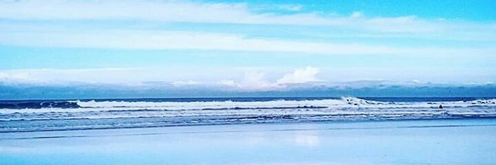 sashaslasher's profile banner image