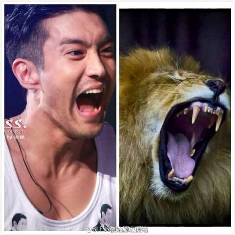 SJSiwon_LF's profile banner image