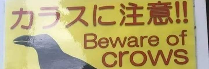 crow banner