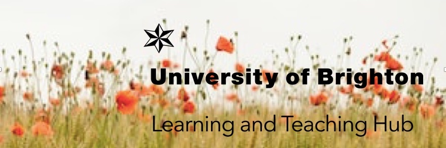Brighton Learning & Teaching Hub banner