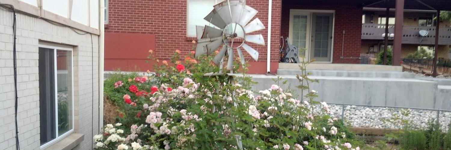 Jason Pettis 😷❄️🌲 banner