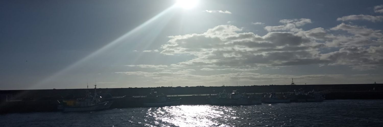 evaforestal's profile banner image