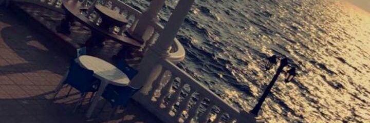 taelrashedy's profile banner image