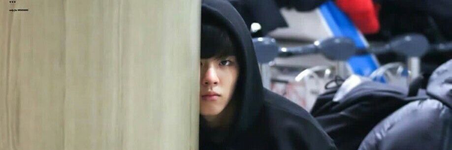 토끼(ᓀ‸ᓂ) banner