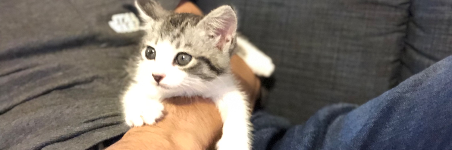 yoshid@7月から毎月写真展 banner