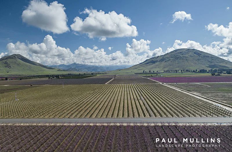 Elizabeth Hall banner