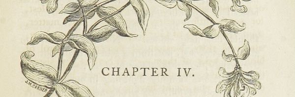 marmelad_2's profile banner image