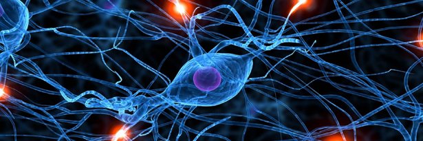 IntelligenceDat's profile banner image