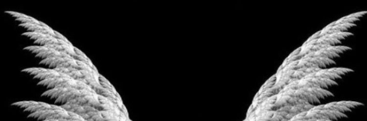 aydinnsedaa's profile banner image