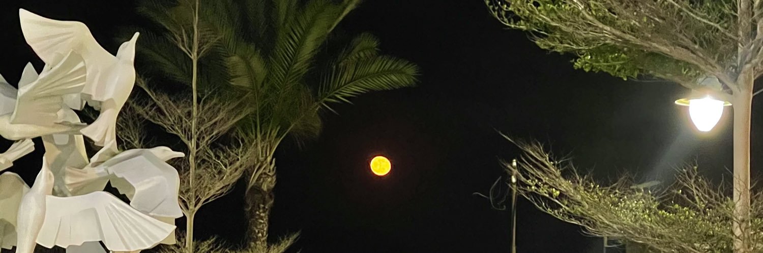 NourhanElDoaDoa's profile banner image