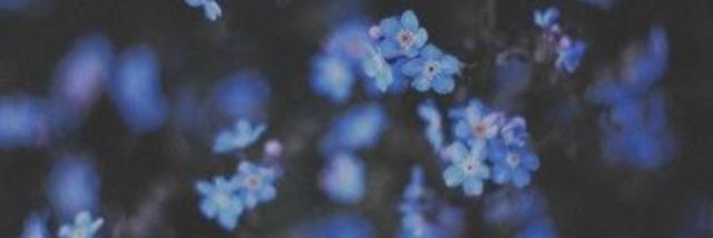 _vicwilliams's profile banner image