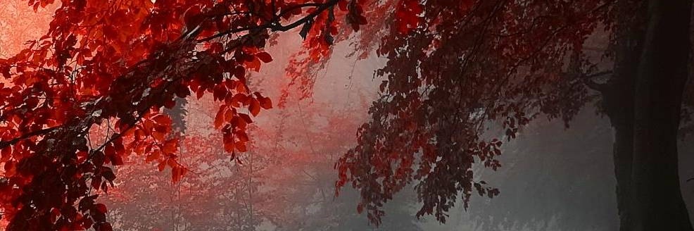 Samuscha1's profile banner image