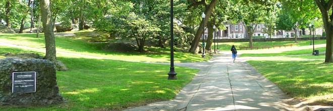 CommunityPresBOS banner