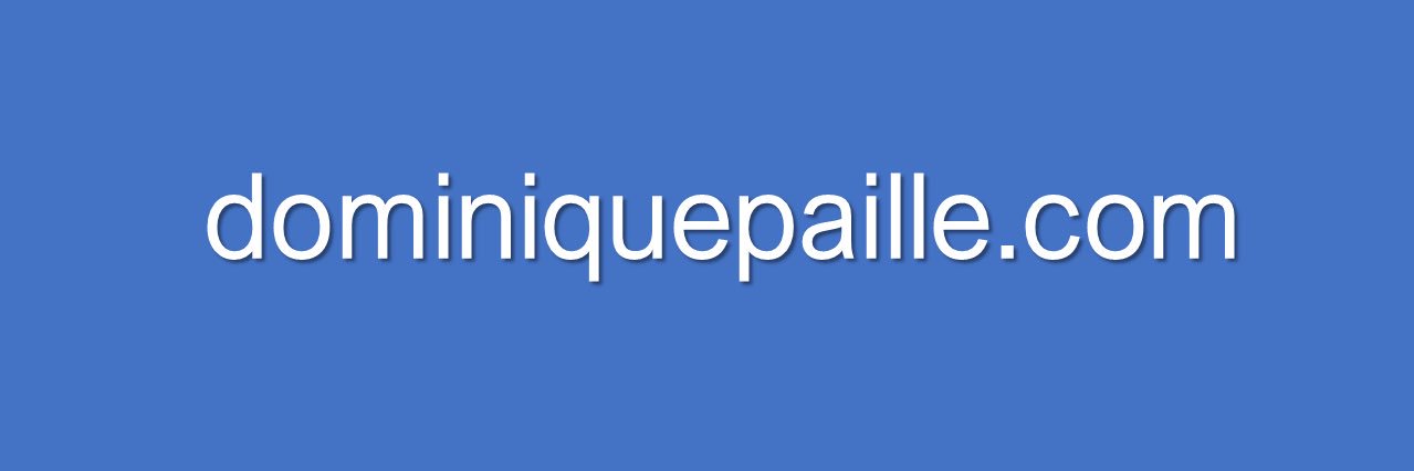 Dominique Paillé banner