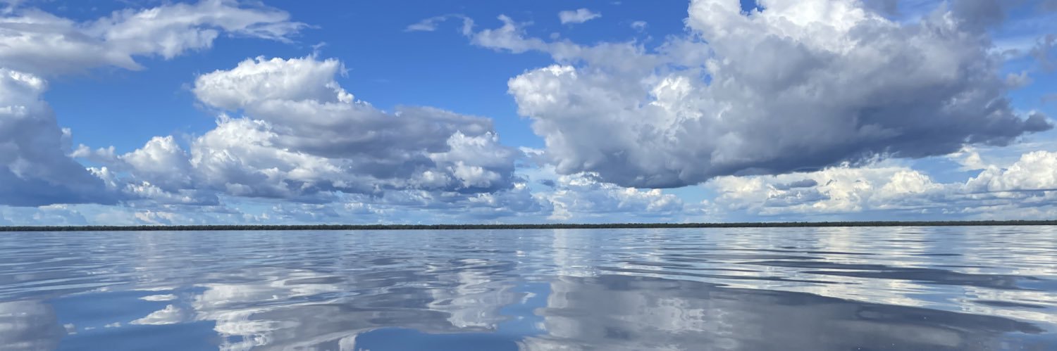 Brigitte Collet banner