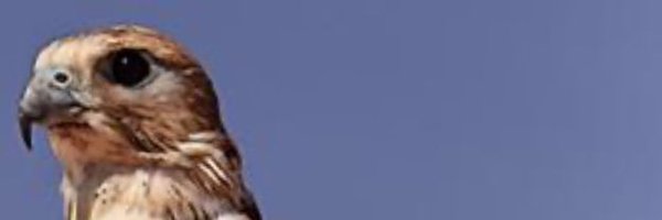 aboabdullah321 Profile Banner