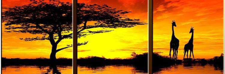 Being_African's profile banner image