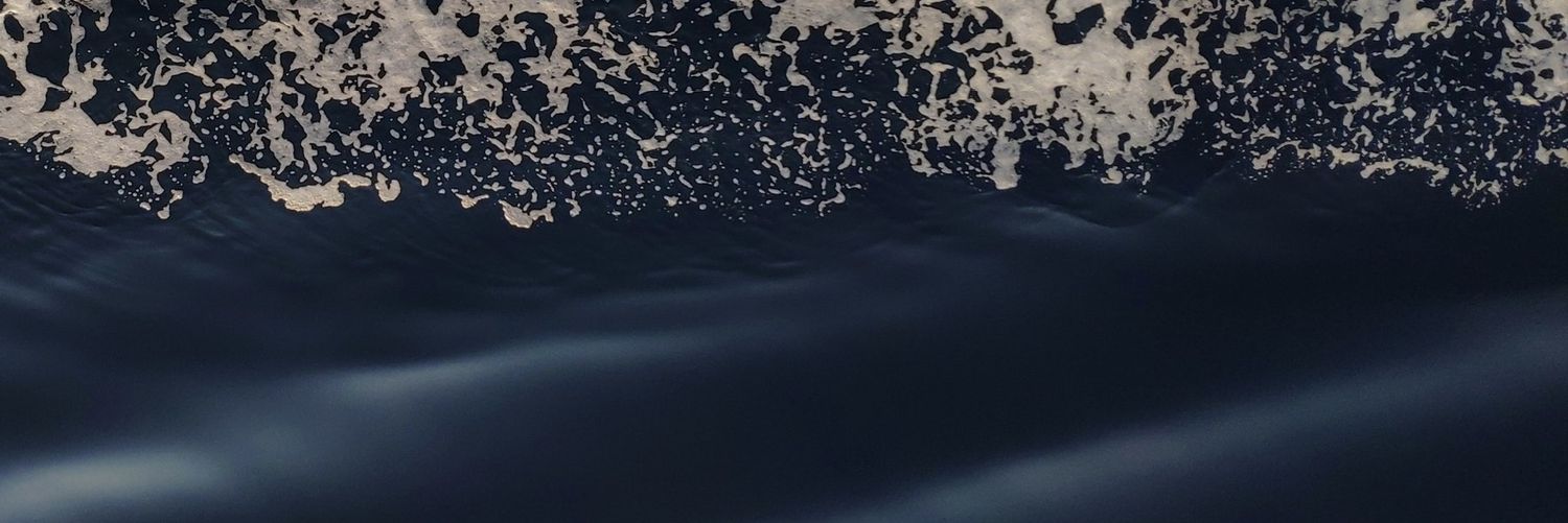 TereZa B. banner