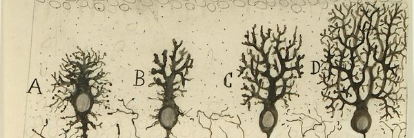 elprofedeneuro Profile Banner