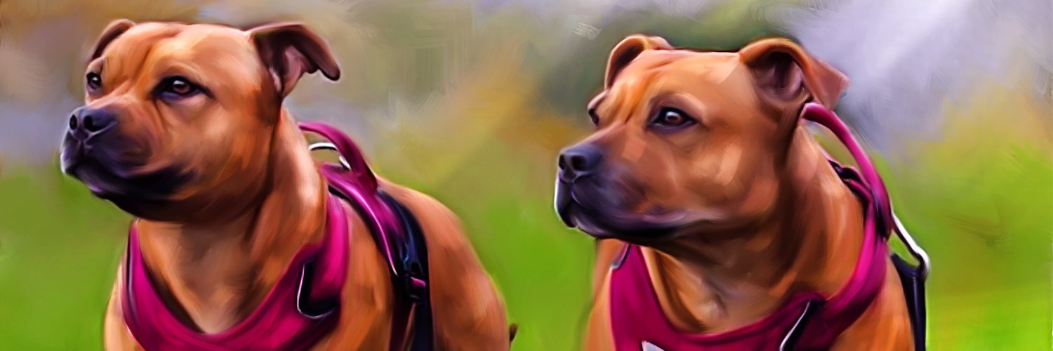 sarder94's profile banner image