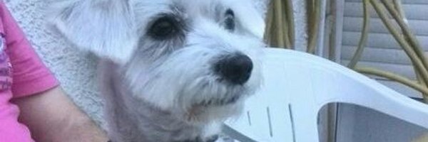 98_esmee Profile Banner