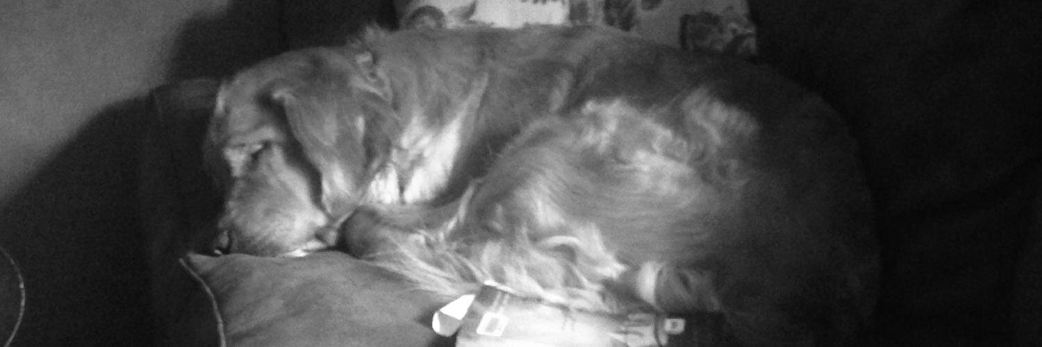 Kevin Beddingfield banner