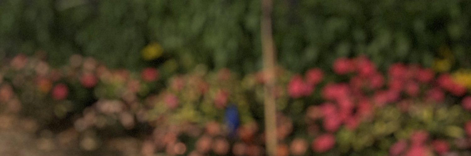 Sepidehmgh's profile banner image