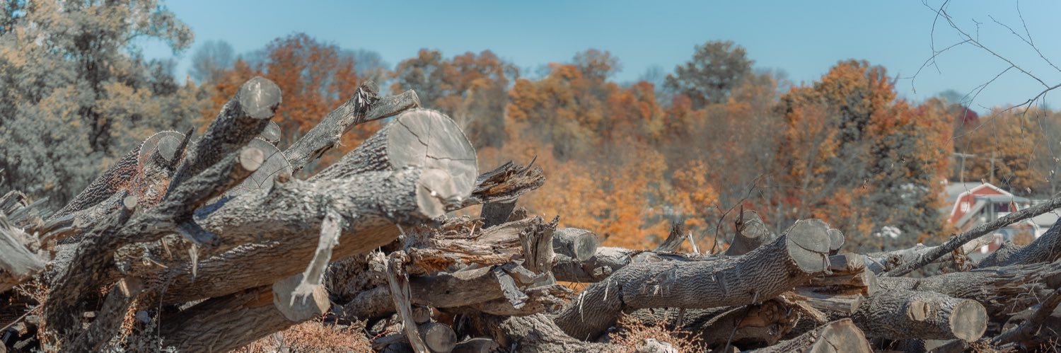 sebasorozcob10's profile banner image