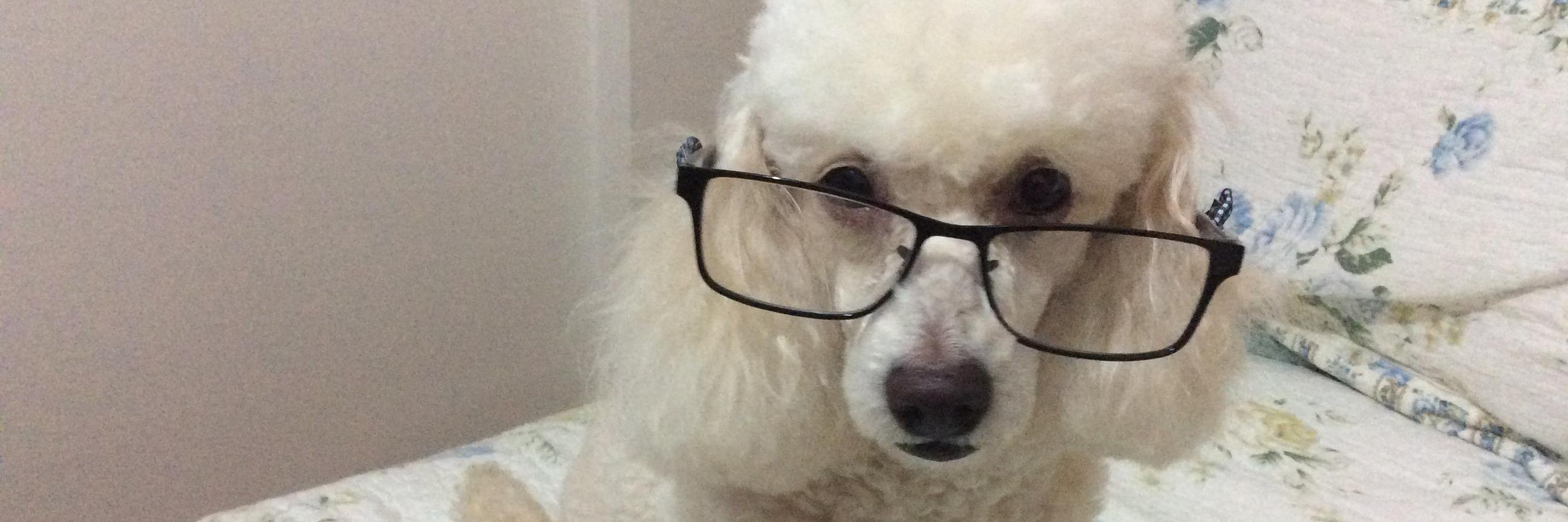 tobymel's profile banner image