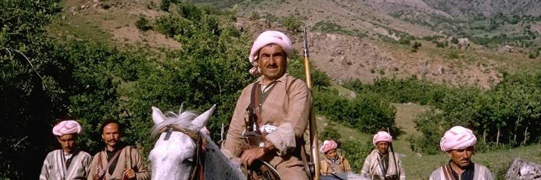 Seîd Çîçek banner