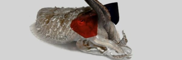 mirrorlogician Profile Banner