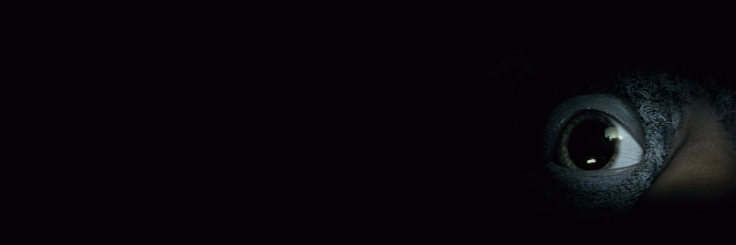 UnderTheBed2017's profile banner image