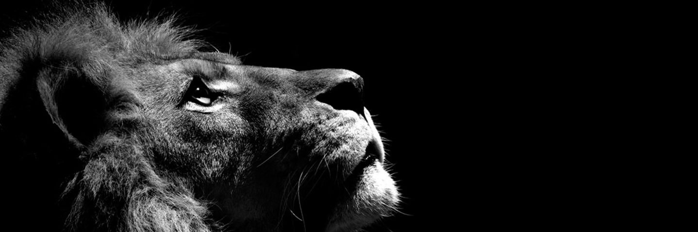 Tuggaz's profile banner image