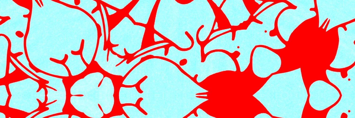 Misseravi, a Kunoichi + Cara🥷 banner