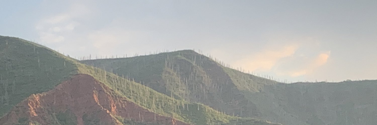 JuliaMulhall32's profile banner image